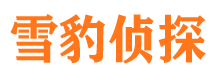 青原市侦探公司